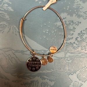 Alex and Ani Furever Friends Bracelet